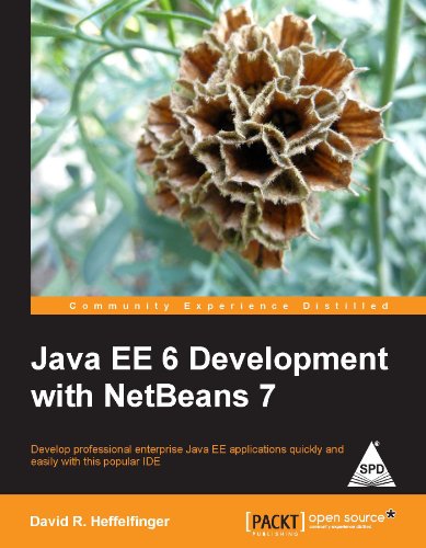 9789350234815: Java EE 6 Development with NetBeans 7 [Paperback] David Heffelfinger