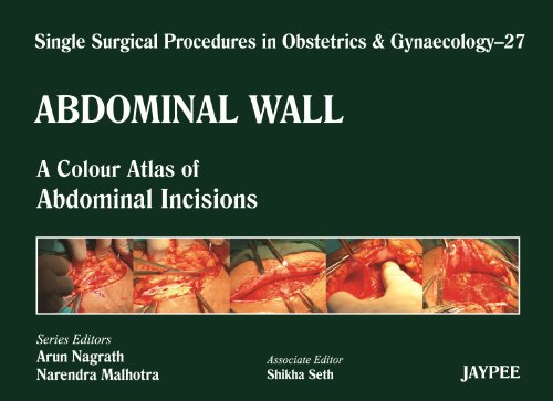 Stock image for Abdominal Wall: A Colour Atlas of Abdominal Incisions for sale by HPB-Red