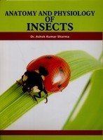 Stock image for Anatomy and Physiology of Insects for sale by Books Puddle