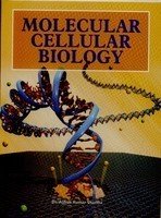 Stock image for Molecular Cellular Biology for sale by Books Puddle