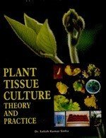 Beispielbild fr Plant Tissue Culture: Theory and Practice zum Verkauf von dsmbooks