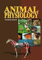 Stock image for Animal Physiology for sale by Books Puddle