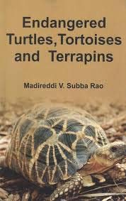 Imagen de archivo de Endangered Turtles Tortoises and Terrapins a la venta por Books Puddle