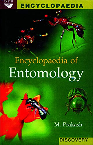 Stock image for Encyclopaedia of Entomology (5 vols) 1st Edition for sale by Books in my Basket