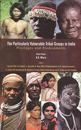 Stock image for The Particularly Vulnerable Tribal Groups in India : Privileges and Predicaments for sale by AHA-BUCH GmbH