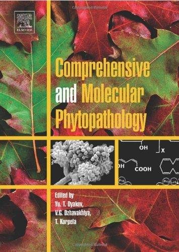 Imagen de archivo de Comprehensive and Molecular Phytopathology a la venta por Books in my Basket