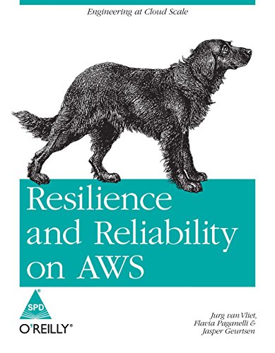 9789351100010: Resilience and Reliability on AWS