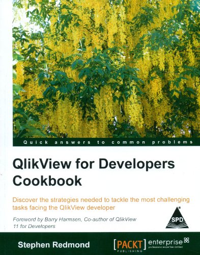 9789351102724: QlikView for Developers Cookbook