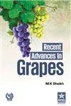 Stock image for Recent Advances in Grapes for sale by Books Puddle