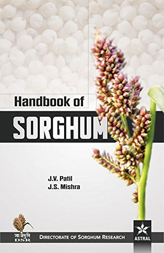 9789351243250: Handbook of Sorghum