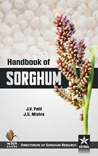 9789351302933: Handbook of Sorghum