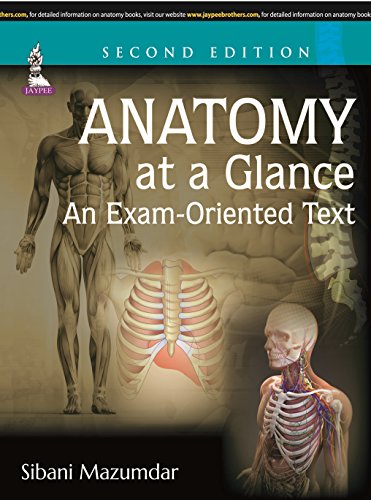 Stock image for Anatomy at a Glance for sale by Books Puddle