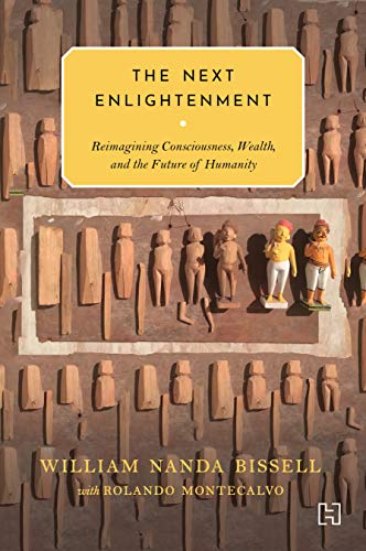 Stock image for The Next Enlightenment: Reimagining Consciousness, Wealth, and the Future of Humanity for sale by Kanic Books