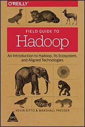 9789352130351: Field Guide to Hadoop