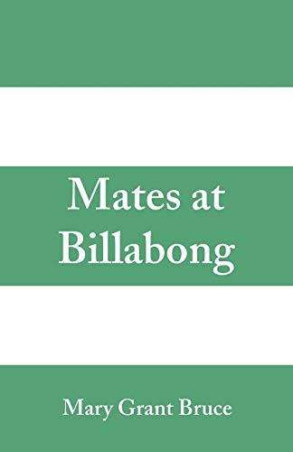 Imagen de archivo de Mates at Billabong a la venta por Lucky's Textbooks