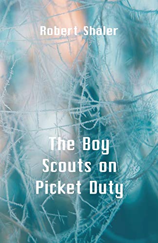 Beispielbild fr The Boy Scouts on Picket Duty zum Verkauf von Lucky's Textbooks