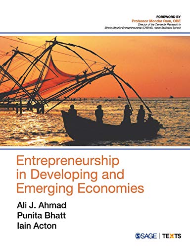 Stock image for Entrepreneurship in Developing and Emerging Economies for sale by Books in my Basket