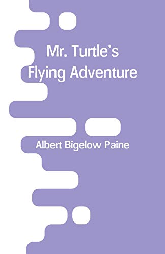 9789353293260: Mr. Turtle's Flying Adventure