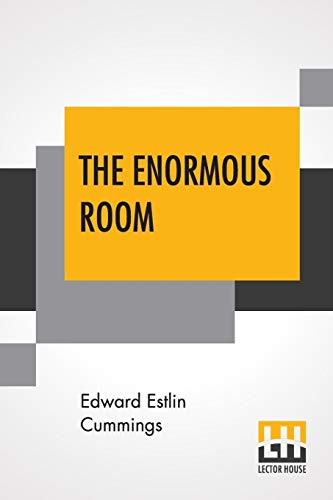 Imagen de archivo de The Enormous Room a la venta por AwesomeBooks