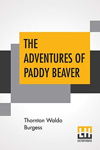 Stock image for The Adventures Of Paddy Beaver for sale by Books Puddle