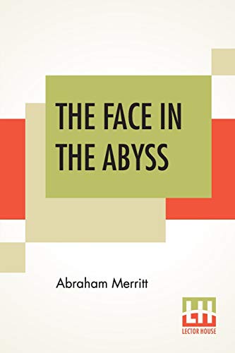 9789353429843: The Face In The Abyss