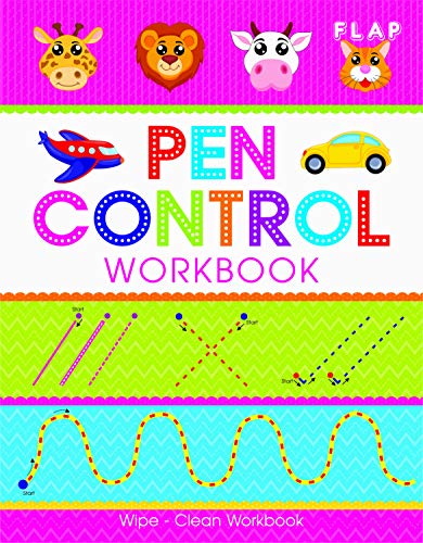 9789353571092: Wipe n Clean Books - Pen Control