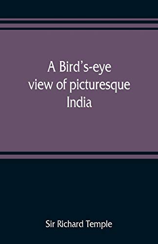 Beispielbild fr A bird's-eye view of picturesque India zum Verkauf von Buchpark