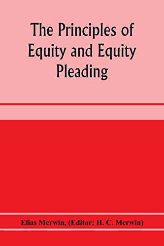 Stock image for The principles of equity and equity pleading for sale by Lucky's Textbooks