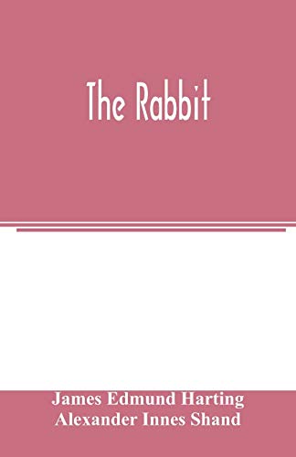Imagen de archivo de The rabbit a la venta por Lucky's Textbooks