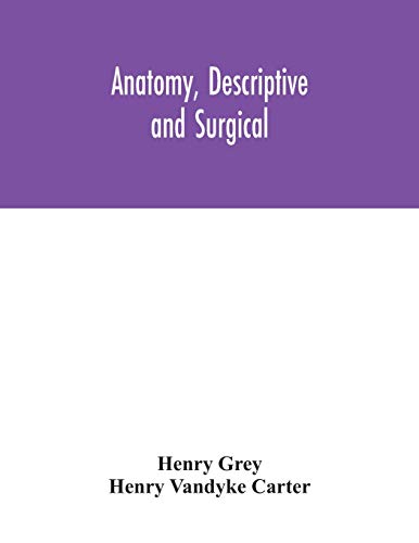 Stock image for Anatomy, Descriptive and Surgical for sale by Lucky's Textbooks