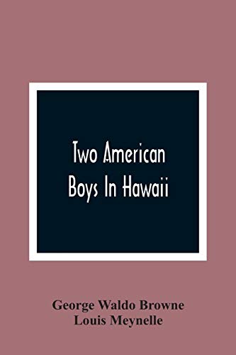 Imagen de archivo de Two American Boys In Hawaii a la venta por Lucky's Textbooks