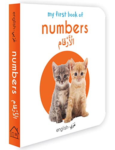 Stock image for My First Book of Numbers (English Arabic) Bilingual Learning Library for sale by Books in my Basket
