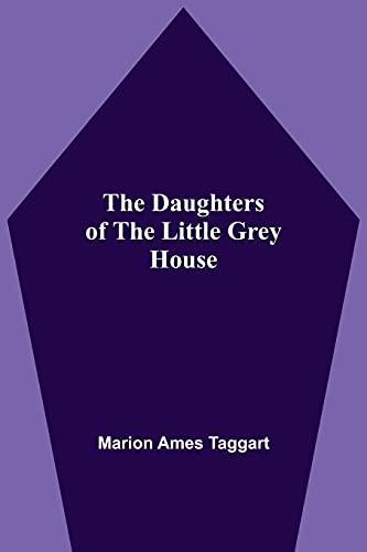 Stock image for The Daughters Of The Little Grey House for sale by Lucky's Textbooks