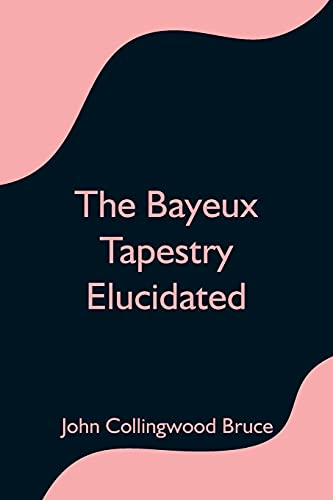 Stock image for The Bayeux Tapestry Elucidated for sale by Lucky's Textbooks