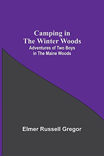 Stock image for Camping In The Winter Woods: Adventures Of Two Boys In The Maine Woods for sale by Big River Books