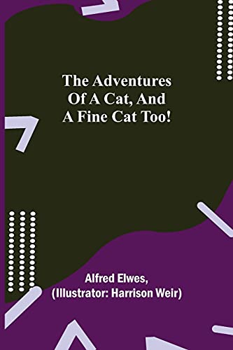 Beispielbild fr The Adventures of a Cat, and a Fine Cat Too! zum Verkauf von Lucky's Textbooks