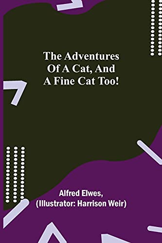 Imagen de archivo de The Adventures of a Cat, and a Fine Cat Too! a la venta por Lucky's Textbooks