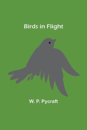Stock image for Birds in Flight for sale by Lucky's Textbooks