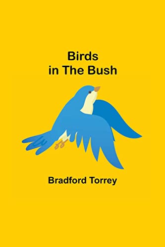 Imagen de archivo de Birds in the Bush a la venta por ThriftBooks-Atlanta