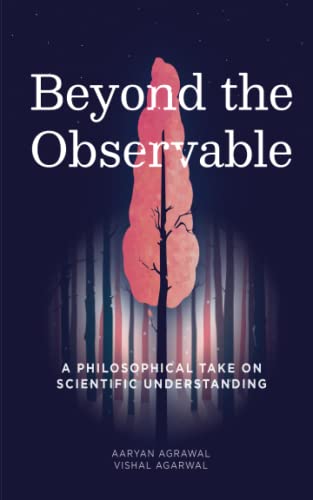 Imagen de archivo de Beyond The Observable: A philosophical take on scientific understanding a la venta por Books Puddle