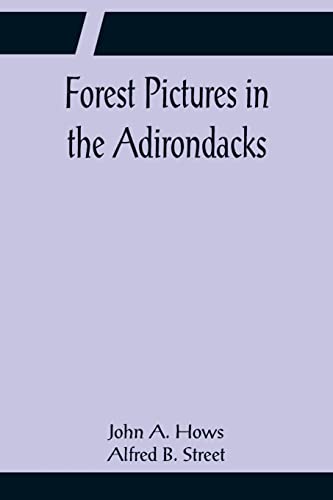 Stock image for Forest Pictures in the Adirondacks for sale by Lucky's Textbooks