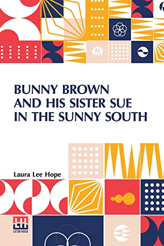 9789356143111: Bunny Brown And His Sister Sue In The Sunny South