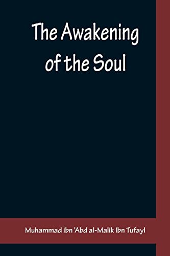 Imagen de archivo de The Awakening of the Soul a la venta por Books Unplugged