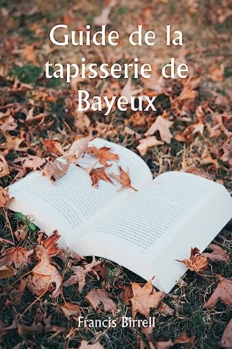Stock image for Guide de la tapisserie de Bayeux for sale by Ria Christie Collections