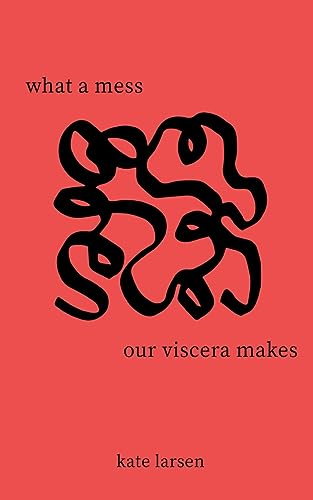 Imagen de archivo de what a mess our viscera makes a la venta por GreatBookPrices