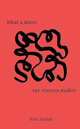Stock image for what a mess our viscera makes for sale by GreatBookPrices
