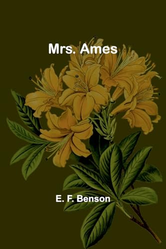 Stock image for Mrs. Ames (Paperback) for sale by Grand Eagle Retail