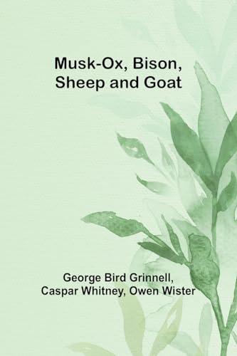 Stock image for Musk-Ox, Bison, Sheep and Goat for sale by California Books