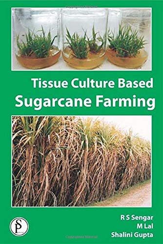 Stock image for Tissue Culture Based Sugarcane Farming for sale by Books in my Basket