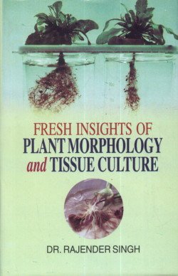 Stock image for Fresh Insights of Plant Morphology and Tissue Culture for sale by Books Puddle